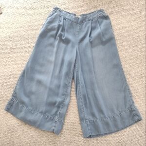 Merona Wide-Leg Blue Pants/Culottes size XS